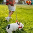 thumbnail image 2 of Heavy Duty Dog Tie Out 8m Long Leash with Spring Swivel Clips Durable Runner Chain for Outdoor Yard Camping, 2 of 4