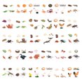 thumbnail image 2 of tredstone 1 Set Spade Worm Model Premium Plastic Material Meaningful Insect Figurines Early Educational Growing Models for School Project swan, 2 of 5