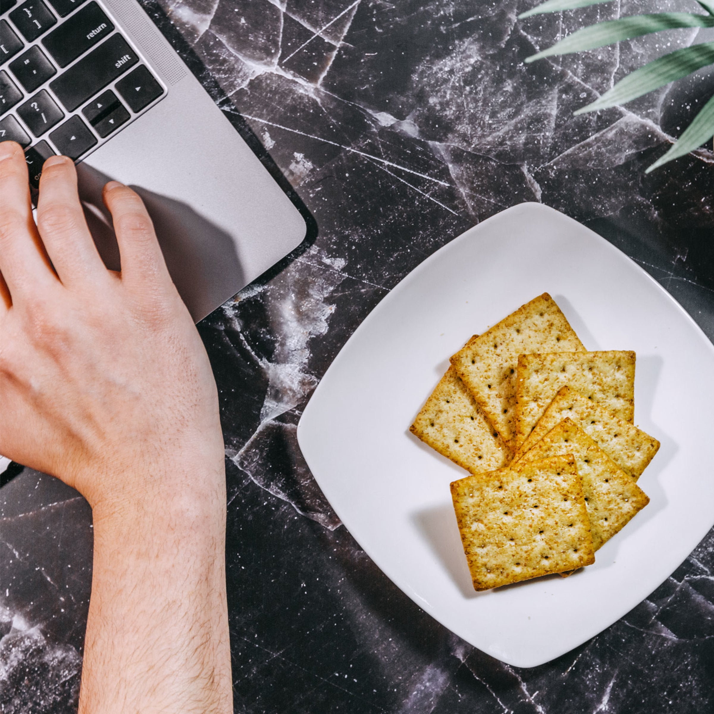 TRISCUIT, Garden Vegetable Crackers, Light and Crispy Texture