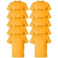 thumbnail image 1 of Gildan Men's Ultra Cotton T-Shirt - 2000 (Pack Of 10), 1 of 1