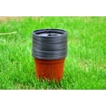 thumbnail image 1 of 30pcs 6 Inch 30pcs Planter Nursery Pots, Plastic Pots for Flower Seedling, 1 of 7