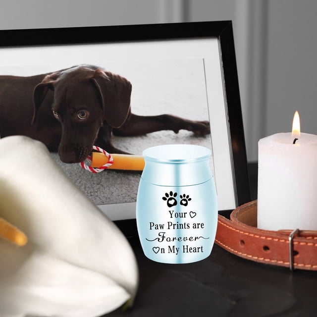 Urne pour Animaux Pot Commémoratif Chats Chien Produits Funéraires Urne en Alliage Scellée