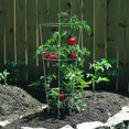 thumbnail image 2 of Cage à plant de tomates de 0,8 m, 2 of 2