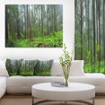 thumbnail image 1 of Hoh Rain Forest - Landscape Photography Canvas Art Print, 1 of 3