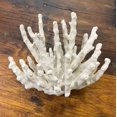 thumbnail image 4 of Abbott Collection 3D Étoile de Mer 20-SEASHORE/25 WHT, Blanc (Grand), 4 of 7