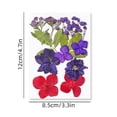 thumbnail image 2 of Iumwxz Colorful Natural Dried Flowers And Embossed Decorative Set home decor Multicolor Plastic Clearance Sales, 2 of 5