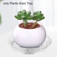 thumbnail image 4 of 10Pcs Plastic Home Garden Flower Pot Plant Labels Tags Planter Tray Saucers, 4 of 8