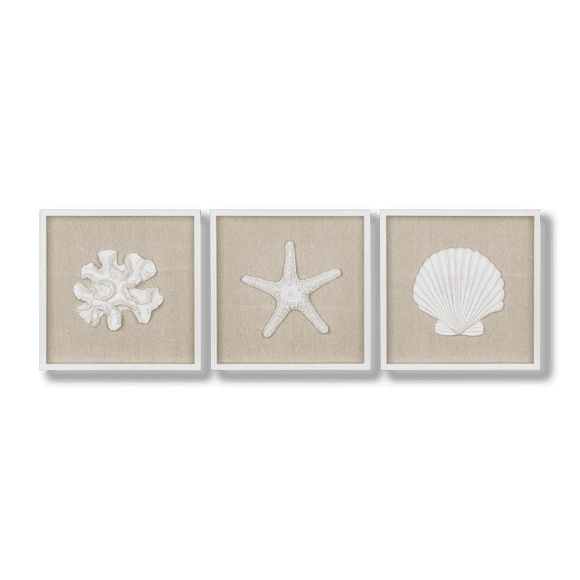 Bouclair Ensemble Blanc et Naturel de 3 Coquillages Art Encadré 11,8 X 35,4 Po (30 X 90 cm)