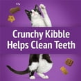 thumbnail image 4 of Friskies Party Mix Kahuna Crunch, Cat Treats 454g, 4 of 7