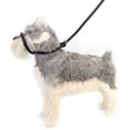 thumbnail image 3 of Dog Leash, Nylon Durable Dog Rope Leash Heavy Duty  for Small Medium Dogs for Walking Black,Red,Blue, 3 of 7