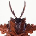 thumbnail image 5 of Horloges Coucou Horloge de Chasse, Animaux Suspendus, 5 of 5