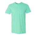 thumbnail image 1 of Fruit of the Loom T-Shirt Col Rond pour Hommes Sofspun SF45R, 2TG, Menthe Fraîche, 1 of 9