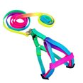 thumbnail image 4 of Adjustable Rainbow Small Rabbit Cat Collar Leash Band Dog Cat collar halter; Pets Lead Harness Strap Belt, 4 of 9