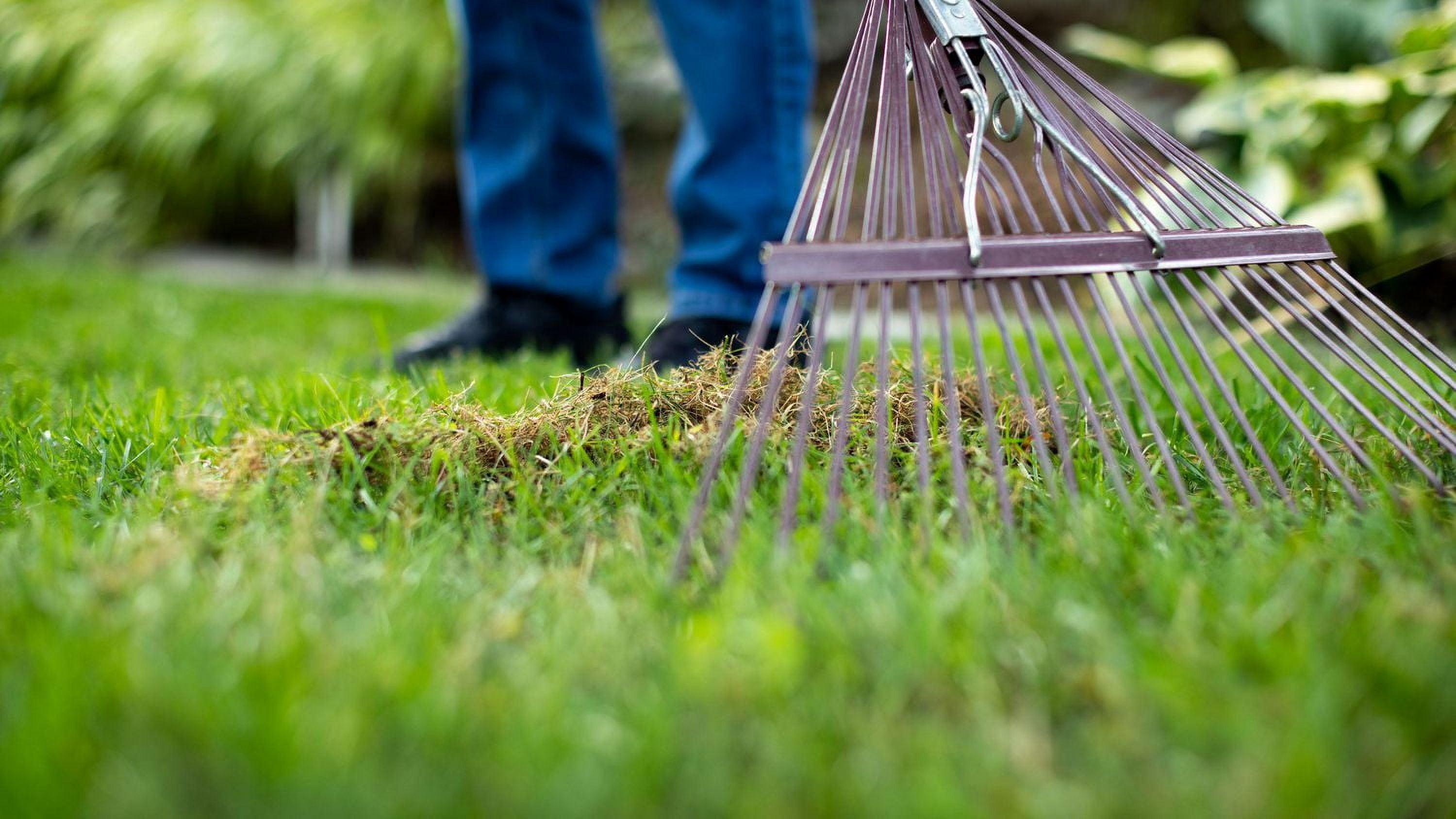 Scotts Turf Builder Terre à Pelouse Enrichie - 28,3L