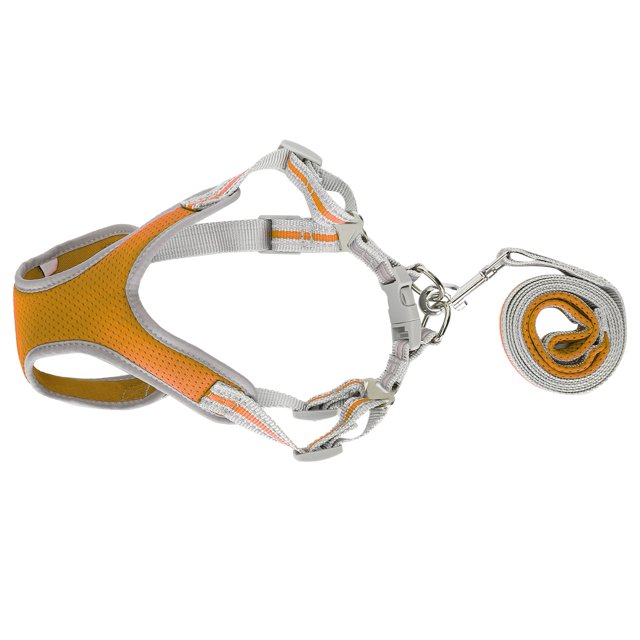 Hilitand Dog Adjustable Harness, Soft Mesh Fabric Dog Harness With Leash For Decorations For Souvenir For Gift For Pet