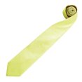 thumbnail image 2 of Premier Cravate Mode / Affaires Unie pour Hommes « Colors », 2 of 3