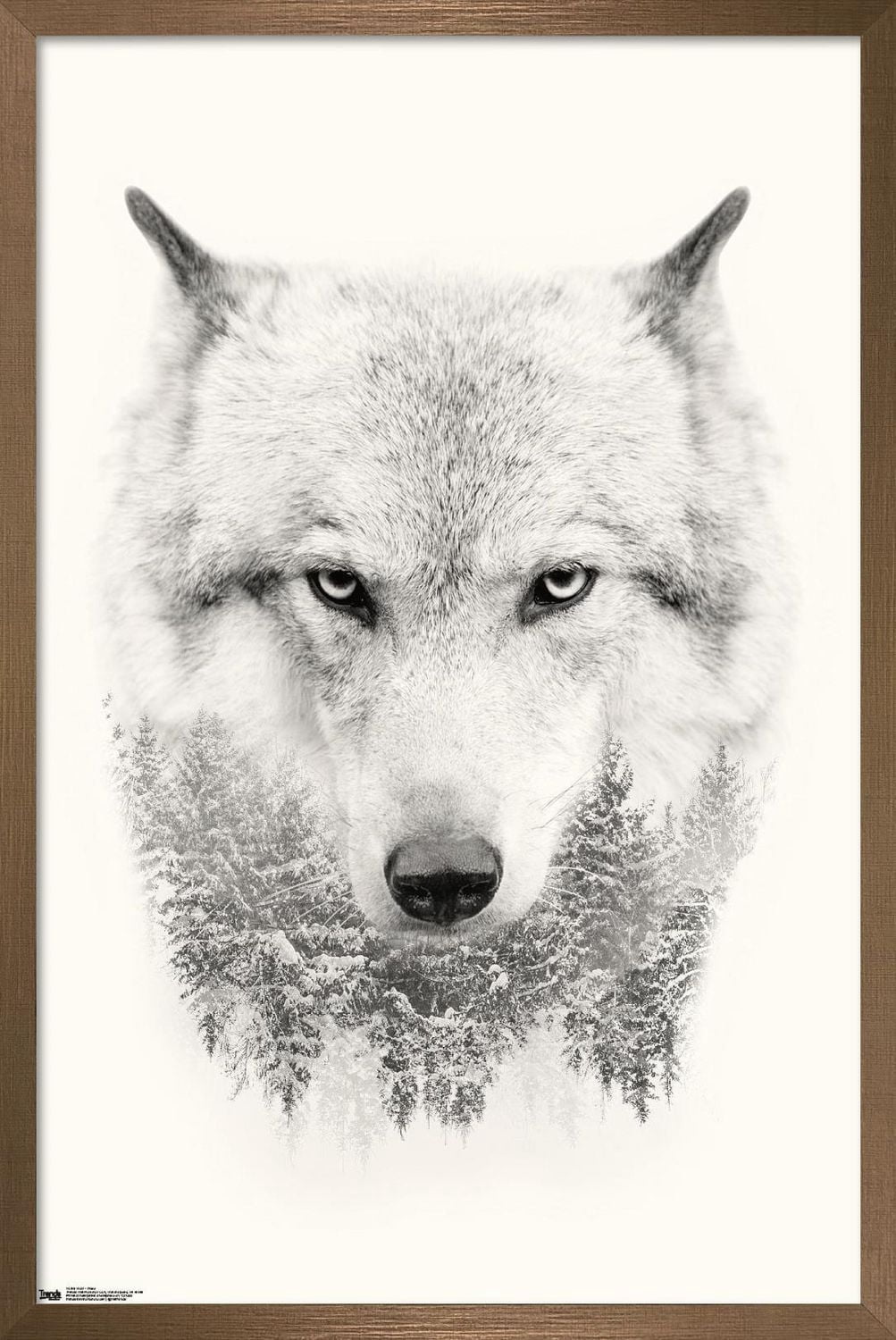 Loup
