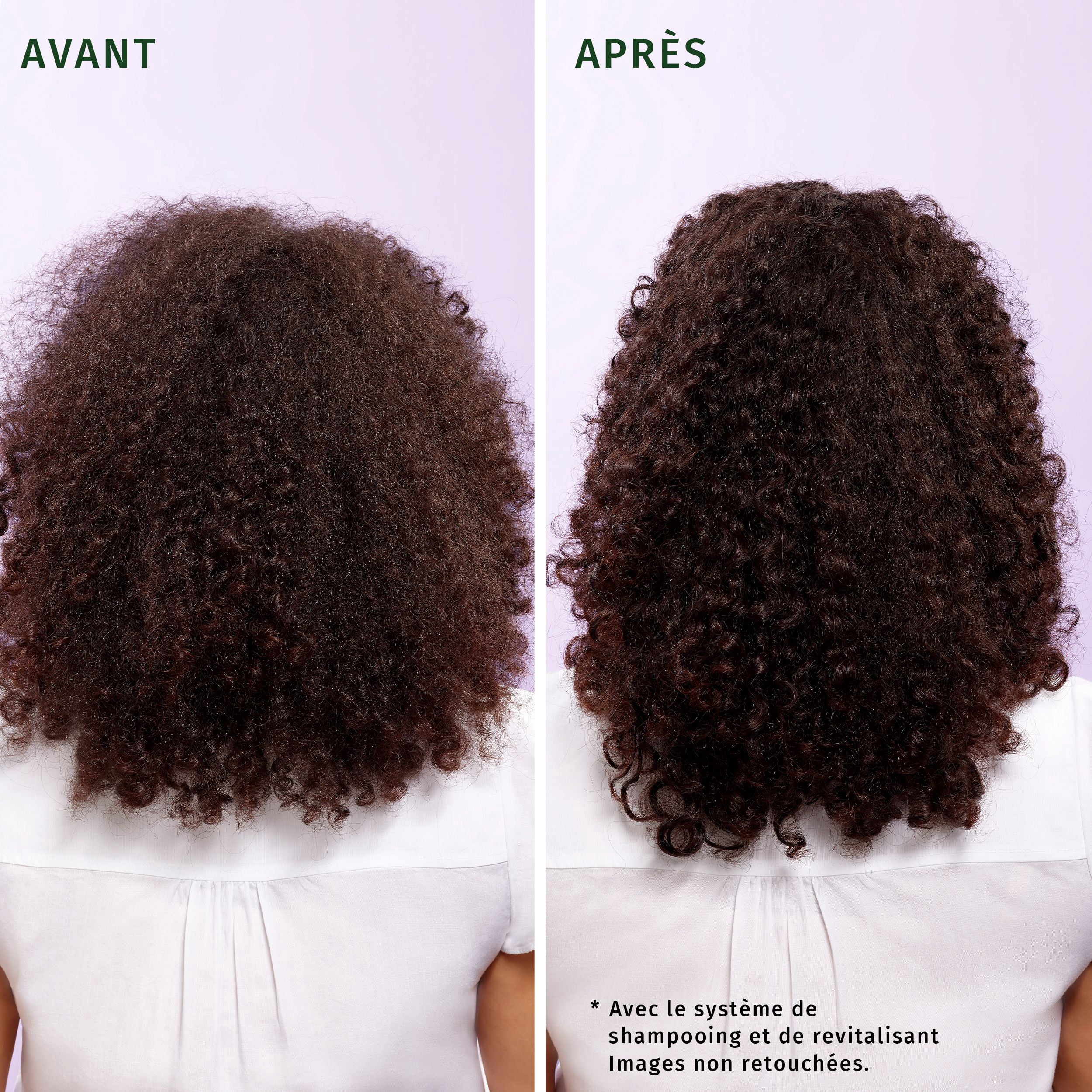 HERBAL ESSENCES Boucles JOJOBA et Lavande Shampooing