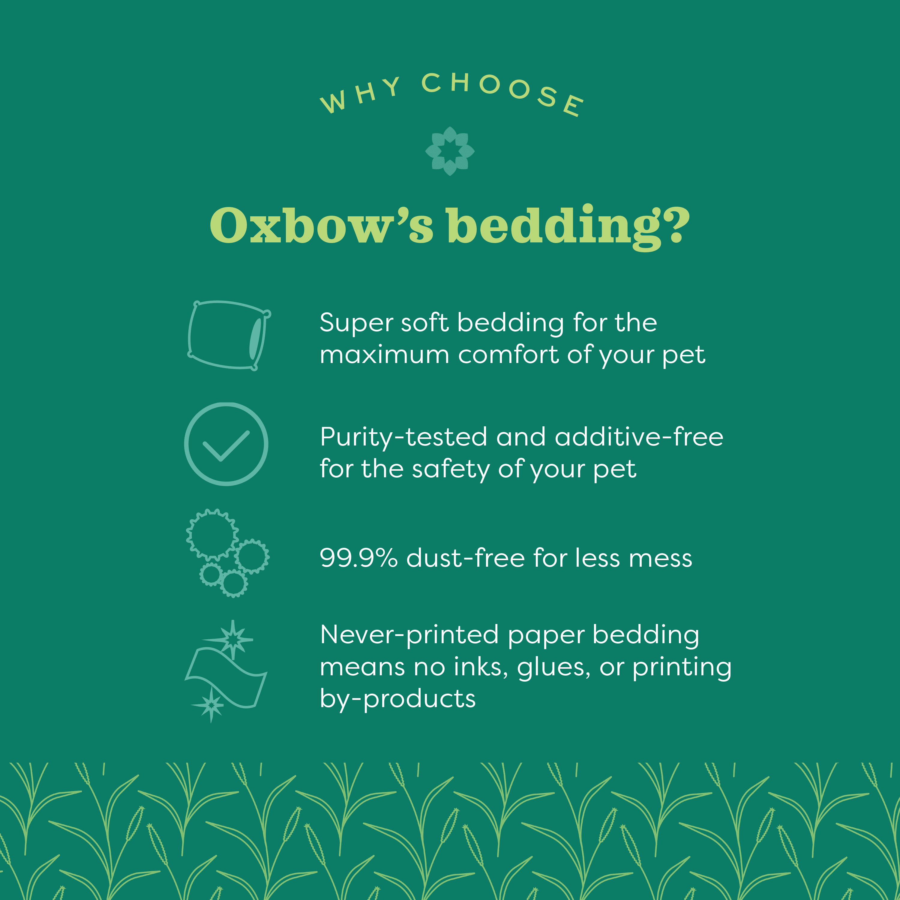 Oxbow – Litière Pure Comfort pour petits animaux