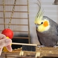 thumbnail image 4 of Brush Poop Off Bird Poop Remover Parrot Cage Brush Shovel Bird Cage Accessories Bird Cage Brush Pet Bird Cleaning Brush Bird Brush Scraper Stainless Steel Cleaner, 4 of 4
