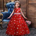 thumbnail image 1 of EGNMCR Vêtements pour Bébé Fille Robe pour Enfants Fille Sans Manches Robe de Princesse Motif Flocon de Neige Imprimé Tulle Longue Robe Canoniques, 1 of 9