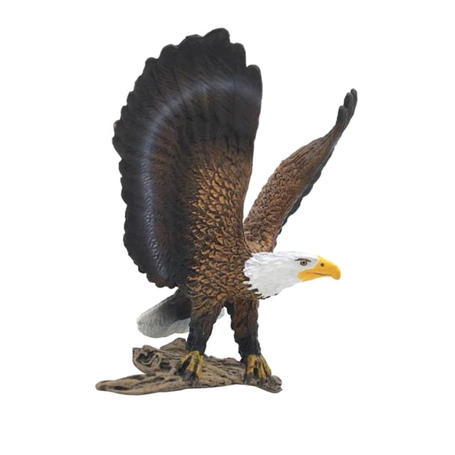GROWTH TANK Animaux Réalistes Oiseau Modèle de Collection Figurine Modèle pour Ornement - Aigle#1 Aigle 1