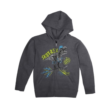 Hanes Boy`s FreshIQ Graphic Full Zip Hoodie, L, SK8 Rex/Slate Heather
