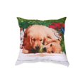 thumbnail image 1 of Coussin D'Impression Numérique En Polyester (Ballon À Mâcher Des Chiens) (18 X 18) - Ensemble De 2, 1 of 2