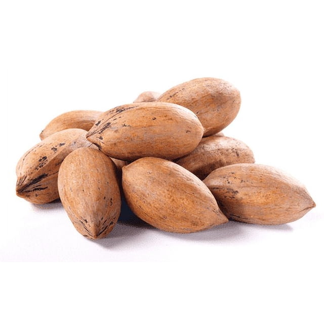 Paper-Shell Pecans Bulk Food Service 25 lbs/11.33 kgs