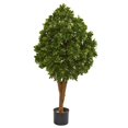 thumbnail image 1 of Nearly Natural 9143 Arbre Artificiel de Feuilles de Thé de 41 Po, 1 of 1