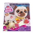 thumbnail image 1 of Poppy, le Carlin qui se dandine Pets Alive - Chiot de peluche dansant interactif, 1 of 5