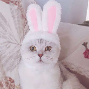 LSLJS Cat Hat Cat Costume Bunny Hat with Ears Funny Cat Hat for Cats and Small Dogs Kitten Puppy Party Costume Accessory Headwear(Cute Style), Pet Hat Rabbit Ears