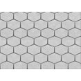 thumbnail image 1 of Ahgly Company Tapis Rectangulaire Lavable en Machine Intérieur Transitionnel Gris Platine, 2 Pieds x 4 Pieds, 1 of 7