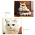 thumbnail image 5 of Cat Tunnel Cat Tunnel Toy Pet Play Tunnel Little Pet Tunnel Cat Toy Cat Tunnel Safe Eco Friendly Interactive Rainbow Pet Play Tunnel For Little Pets Dogs, 5 of 5