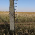 thumbnail image 4 of Big Game Guardian DXT Portable 2 Hunter Tree Ladder Stand, 18 Foot (3 Pack), 4 of 10