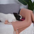 thumbnail image 4 of Hugsmart Rexy Dog Plush Toy, 4 of 4