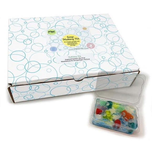 Primal Elements SMKITSG Trousse de Fabrication de Savon de Souhaits des Saisons