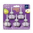 thumbnail image 1 of Glade Branchées® Huile parfumée recharge, Sparkling Sugared Pear™, 1 of 9