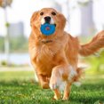 thumbnail image 3 of Durable Squeaky Spiky Ring Pet Toy Interactive Chew Teething for Puppy Dogs Outdoor Indoor Play Training Activity, 3 of 4