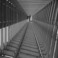 thumbnail image 1 of Ahgly Company Tapis d'Intérieur Lavable à la Machine, Carré, Transitionnel, Gris, Tapis de Zone, 4 Pieds Carré, 1 of 7