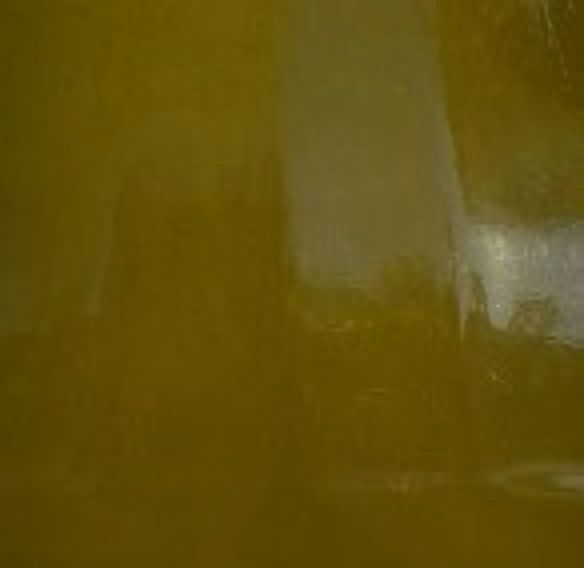 MANTOVA EXTRA-VIRGIN OLIVE OIL
