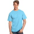 thumbnail image 1 of Hanes Men's Authentic-T T-Shirt, 1 of 1