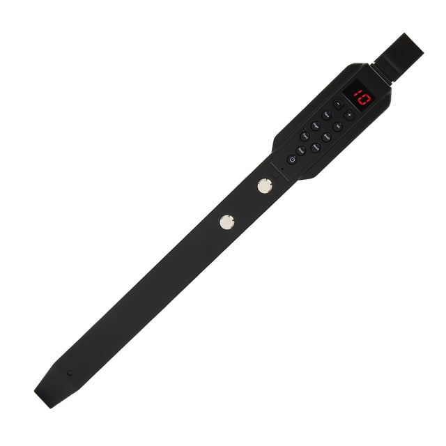 Instrument à Vent Numérique, Mini Ensemble d'Instruments à Vent Électroniques Rechargeables avec Buse Amovible, 10 Tonalités d'Instruments de Musique Intégrées, 12 Accompagnements, Connectivité MIDI