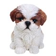 thumbnail image 1 of All Line Sitting Shih Tzu Puppy, 6.5", Brown/White, 1 of 1