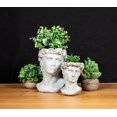 thumbnail image 4 of Abbott Collection AB-27-DAVID-580-XS 6 in. Male Head Planter, Grey - Extra Small, 4 of 4