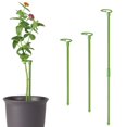 thumbnail image 2 of Pot Stand Shape Plant Anti-rust Durable Anti-deformed Long-lasting Wide Applications Reusable Plant Climbing Sturdy Plant Support Stakes for Amaryllis, 2 of 8