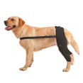 thumbnail image 3 of Dog Knee Brace Back Leg Compression Wrap Injury Support, 3 of 3