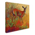 thumbnail image 4 of Doe by Marion Rose, 35x35-Inch Canvas Wall Art, 4 of 9