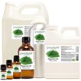 thumbnail image 3 of 16 fl oz - Peppermint Essential Oil 100% Pure, Uncut - GreenHealth, 3 of 5