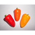 thumbnail image 1 of HJADGG Wow->>>Snack Pepper Mix Seeds 30+ (Red+Orange+Yellow) by Samenchilishop(World), 1 of 1